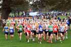 Senior Mens relay, 2025 Northern Cross Country Relays, Graves Park, Sheffield. Photo: David T. Hewitson/Sports for All Pics